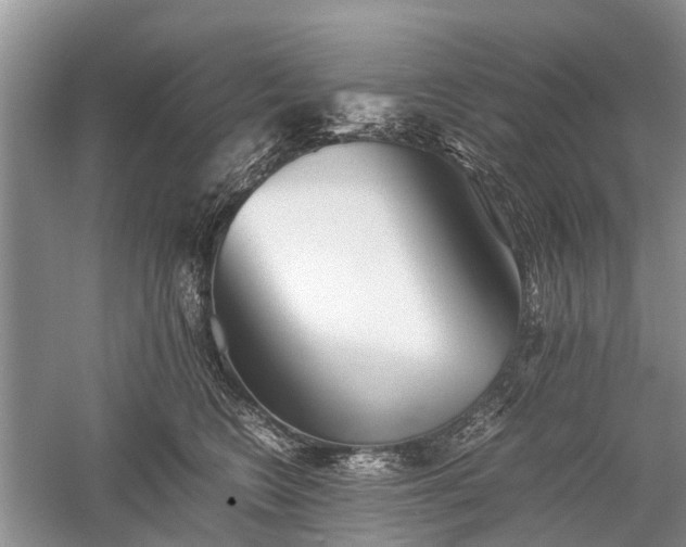 X0000059800566200510241332