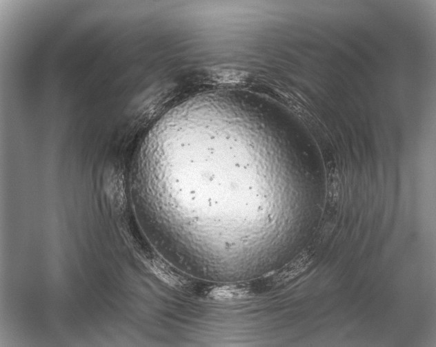 X0000059800568200510241332