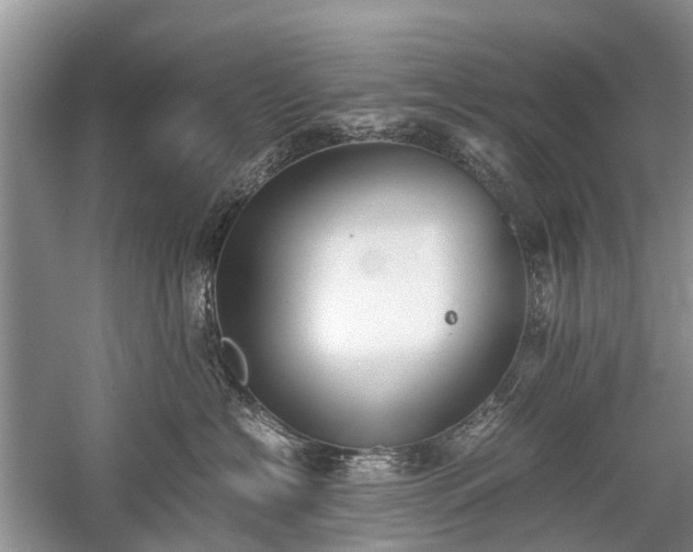 X0000059800574200510241332