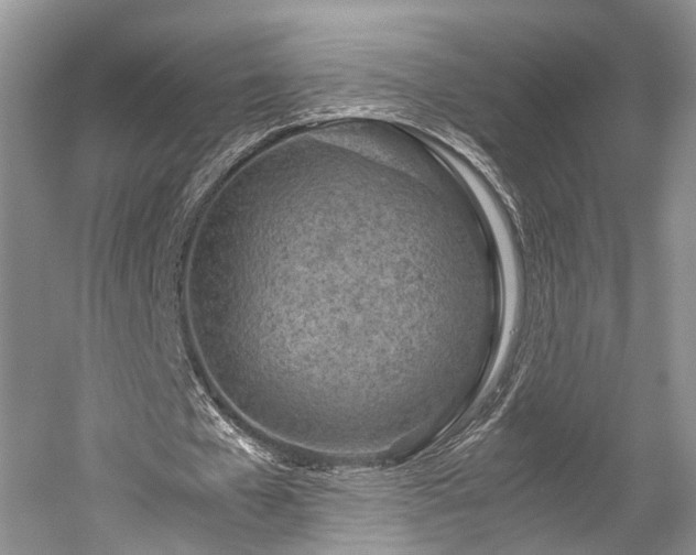 X0000059800577200510241331