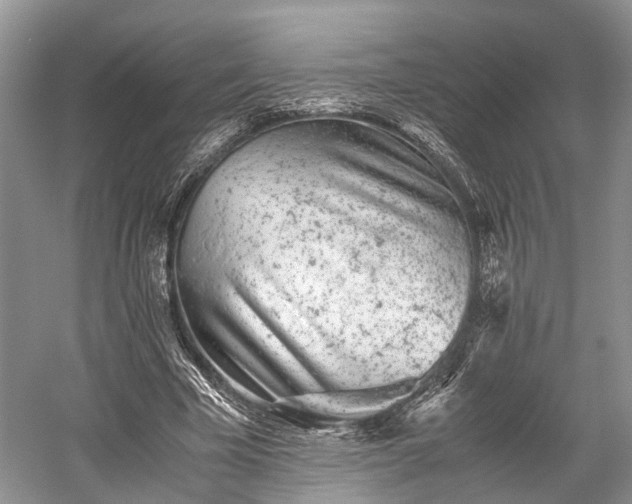 X0000059800585200510241331