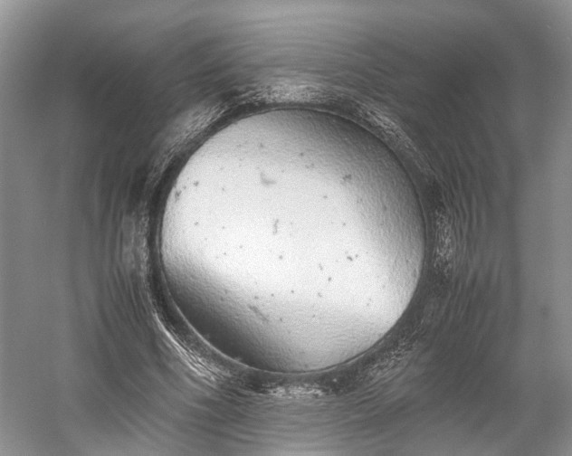 X0000059800586200510241331