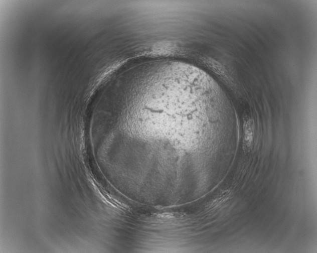 X0000059800588200510241331