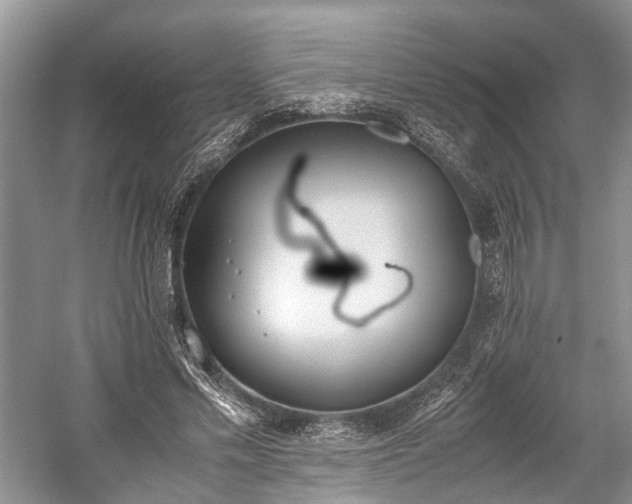 X0000059800589200510241331