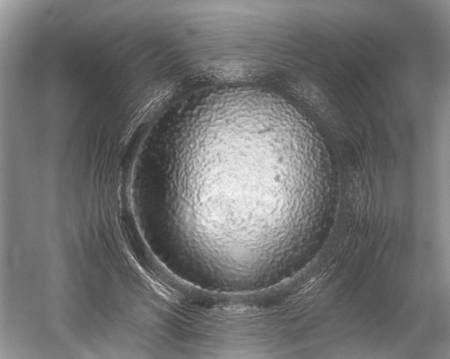 X0000059800590200510241331