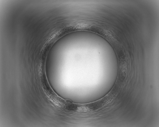 X0000059800591200510241331