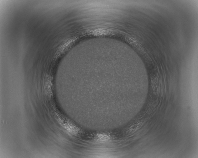 X0000059800592200510241331