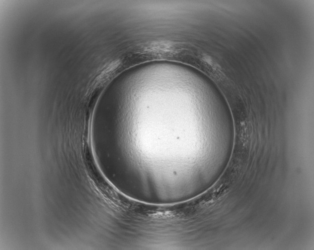 X0000059800594200510241331