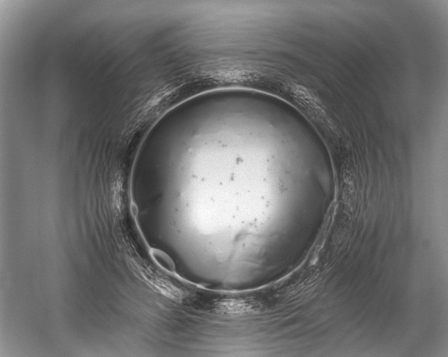 X0000059800596200510241331