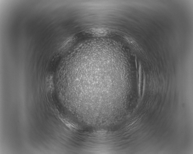 X0000059800598200510241331