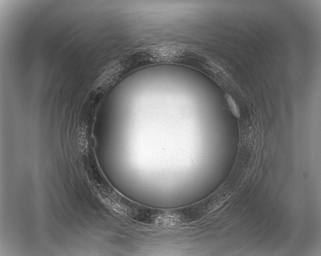 X0000059800599200510241331