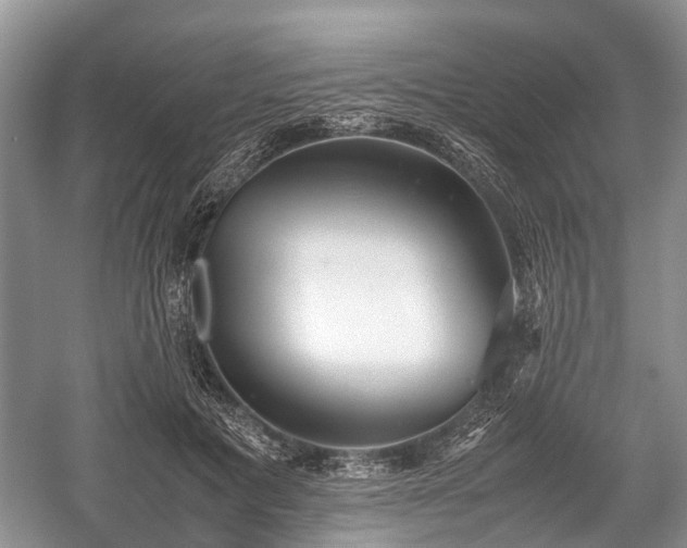 X0000059800601200510241331