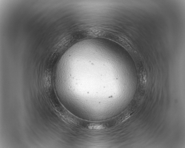 X0000059800602200510241331