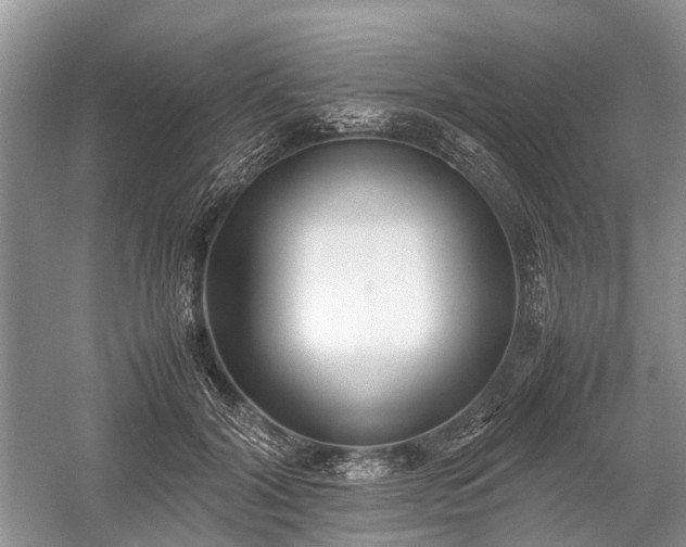 X0000059800604200510241331