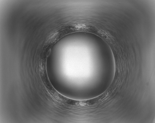 X0000059800607200510241331