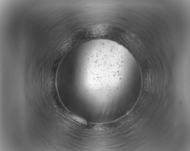 X0000059800608200510241331