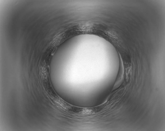 X0000059800609200510241331