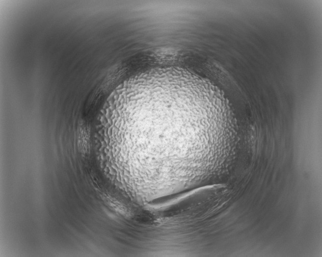 X0000059800610200510241331