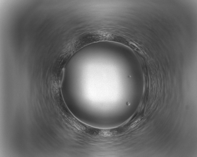 X0000059800613200510241331