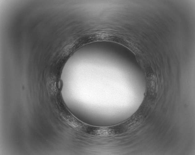 X0000059800615200510241331