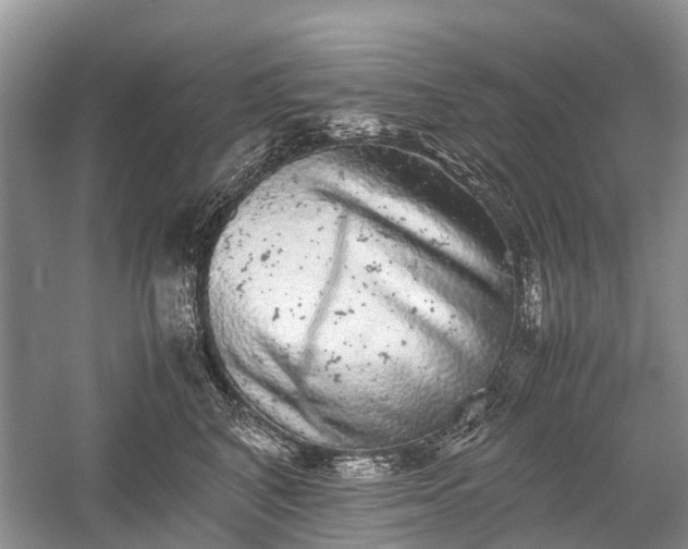 X0000059800616200510241331