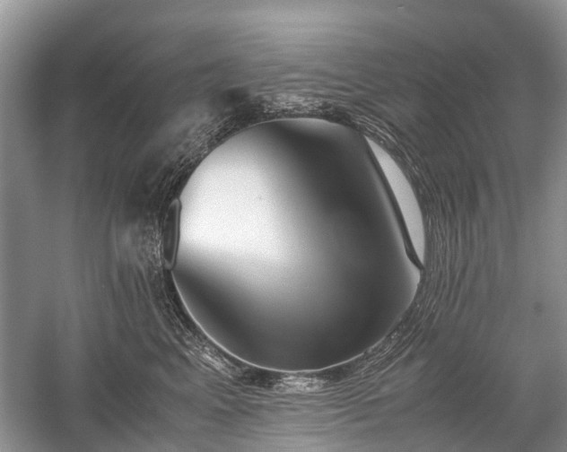 X0000059800617200510241331