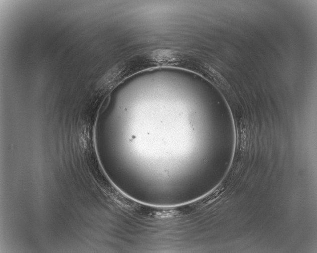 X0000059800618200510241331