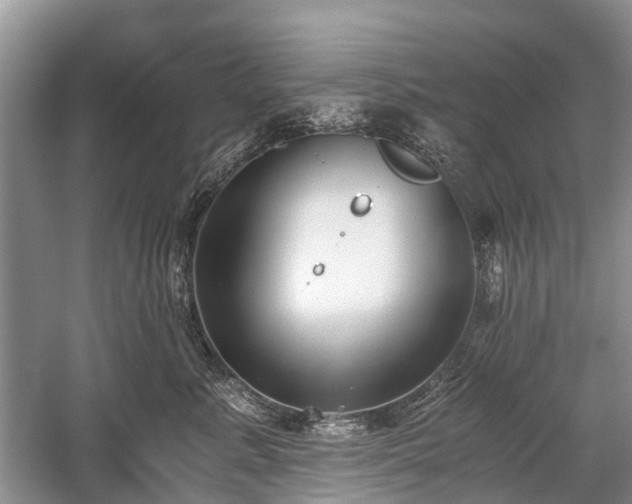 X0000059800619200510241331