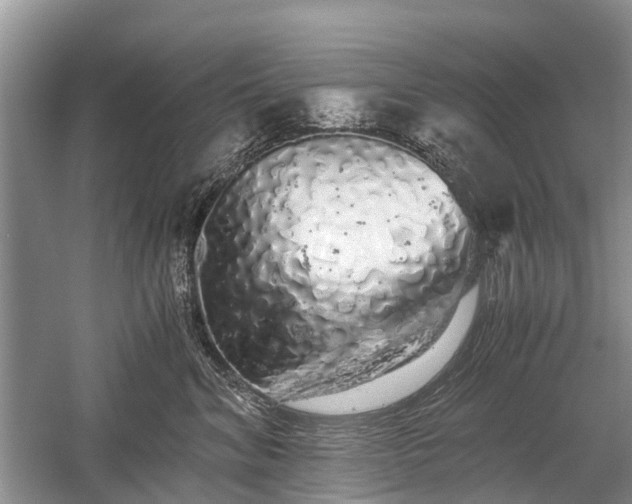 X0000059800620200510241331