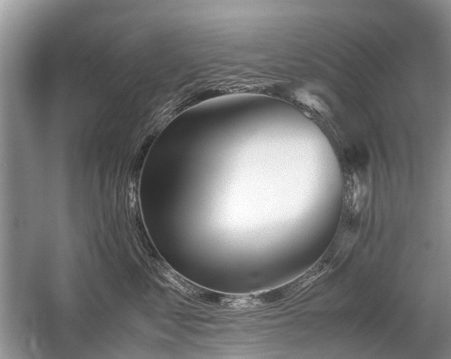 X0000059800621200510241331