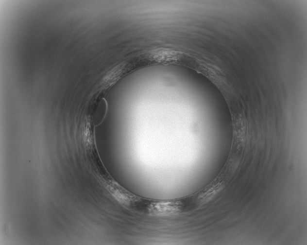 X0000059800622200510241331