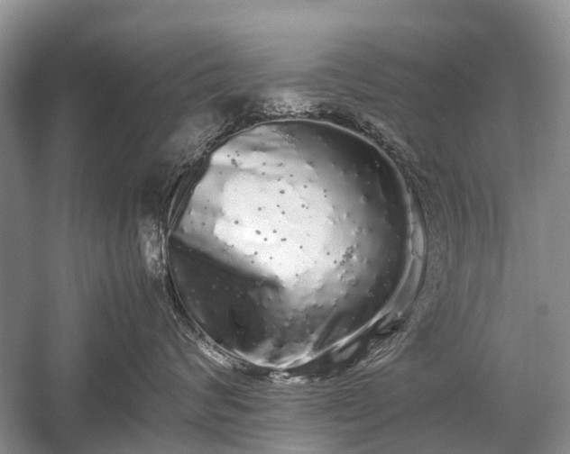 X0000059800624200510241331