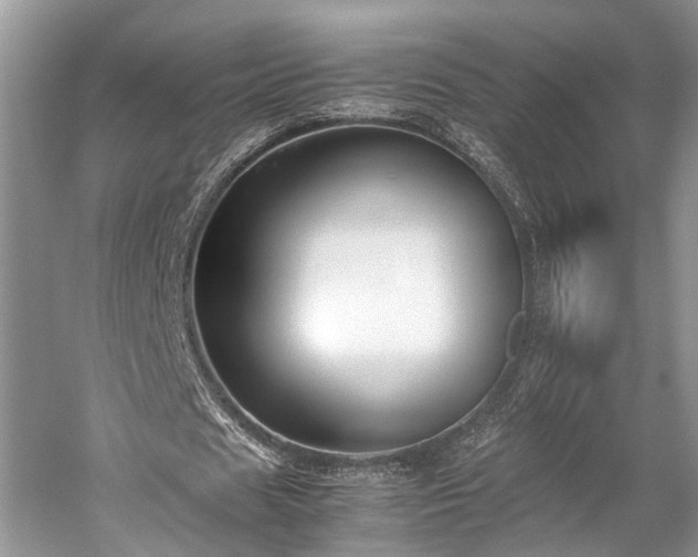 X0000059800625200510241330