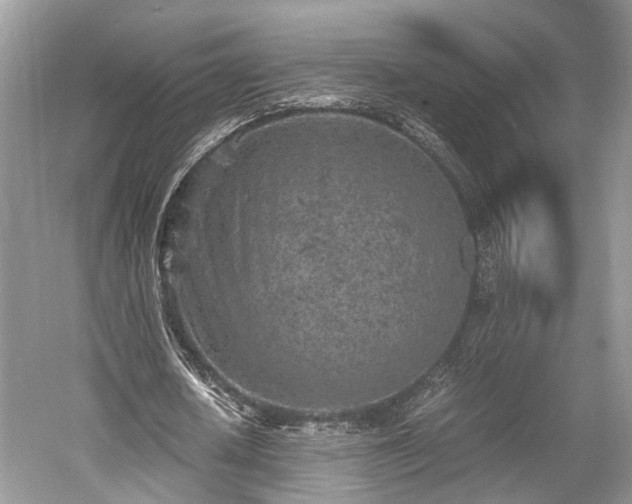 X0000059800626200510241330