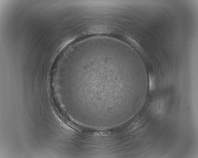 X0000059800627200510241330