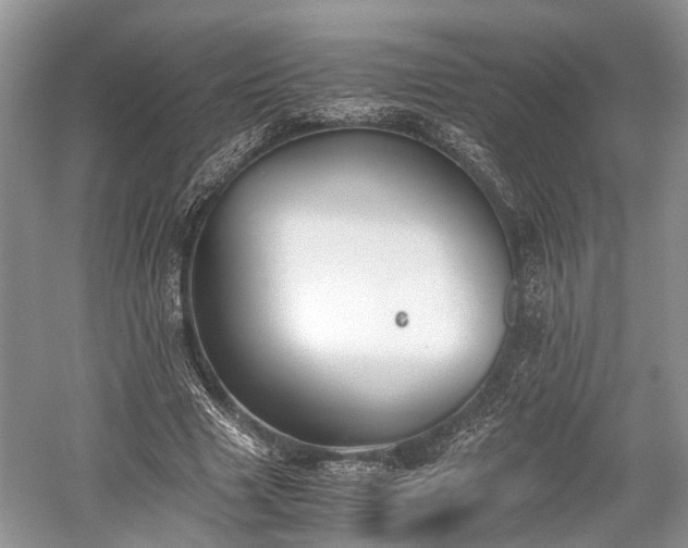 X0000059800633200510241330