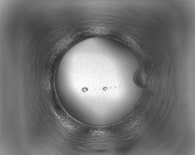 X0000059800635200510241330