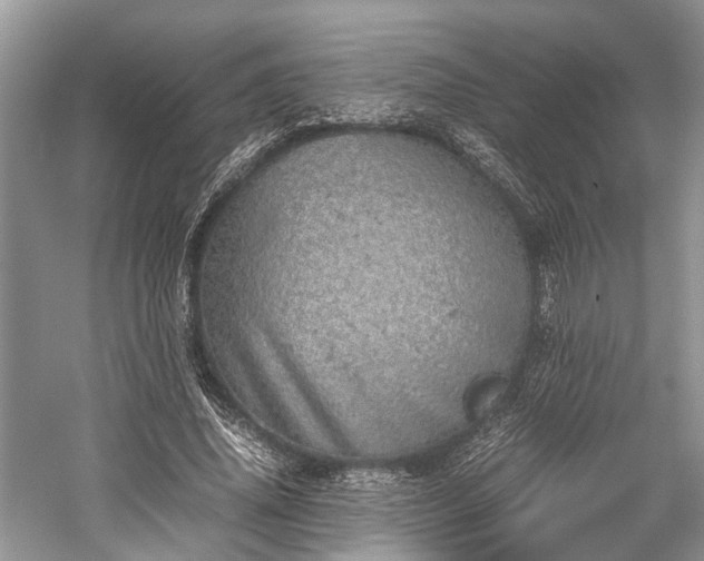 X0000059800636200510241330