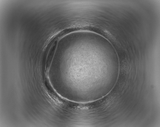 X0000059800640200510241330