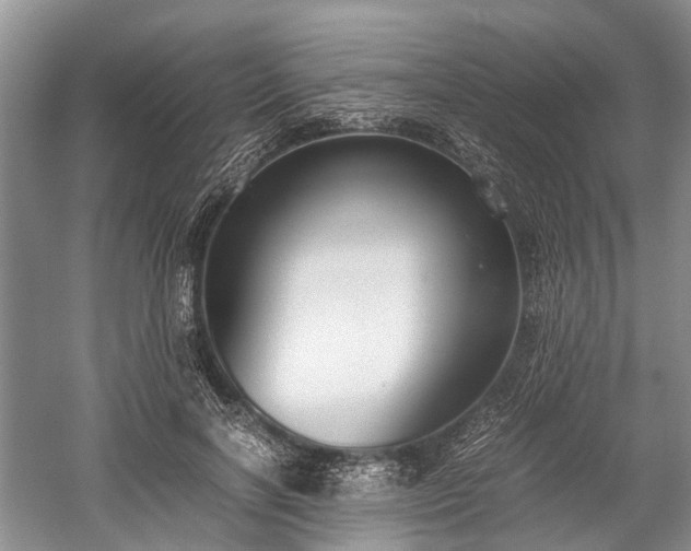 X0000059800646200510241330