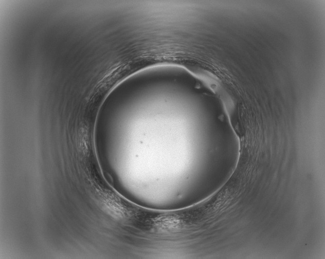 X0000059800648200510241330