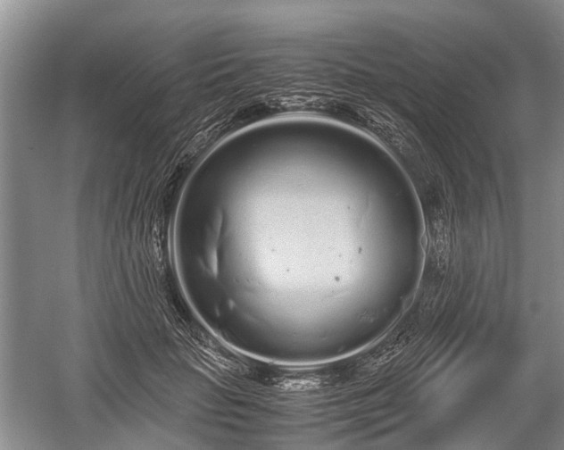 X0000059800653200510241330