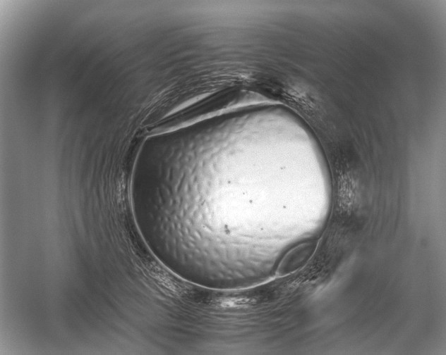 X0000059800657200510241330