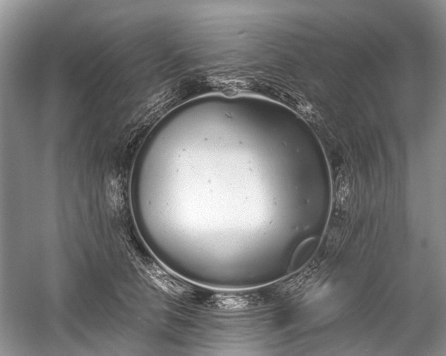 X0000059800658200510241330