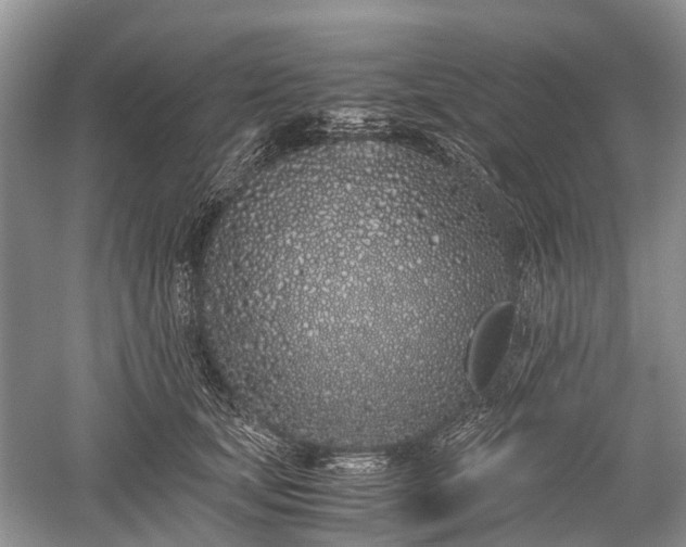 X0000059800659200510241330