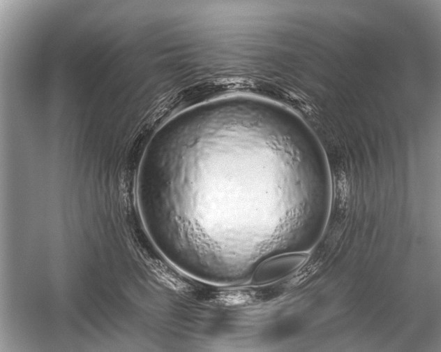 X0000059800662200510241330