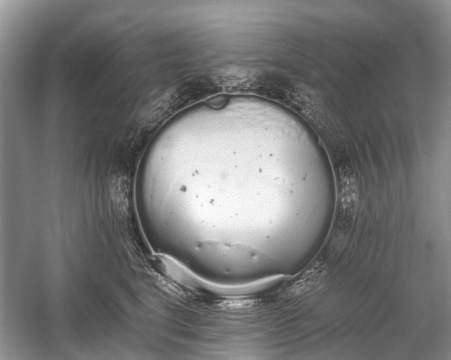 X0000059800664200510241330