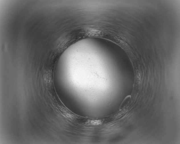 X0000059800665200510241330