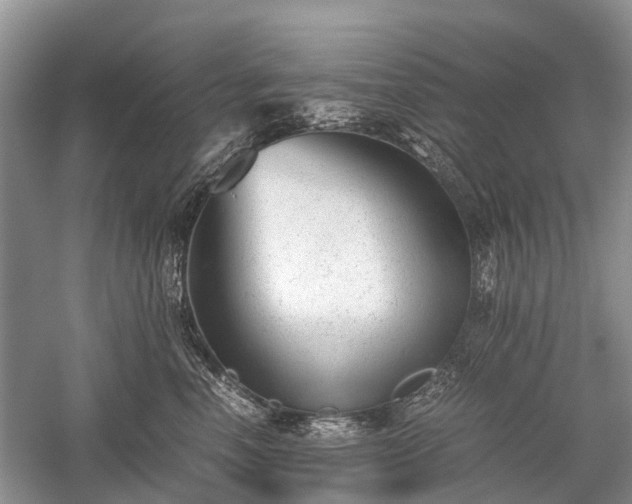 X0000059800666200510241330