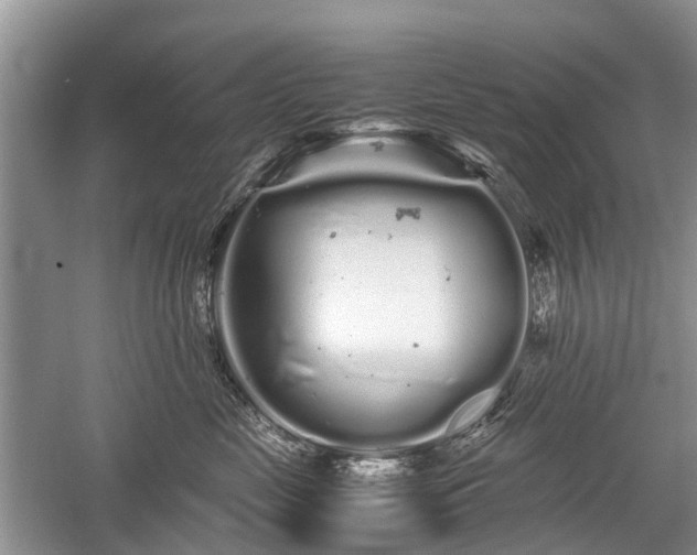 X0000059800669200510241330